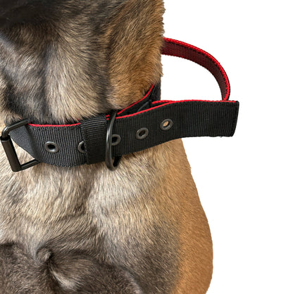 K9 antkaklis šunims 40 mm – reguliuojamas su patogia rankena
